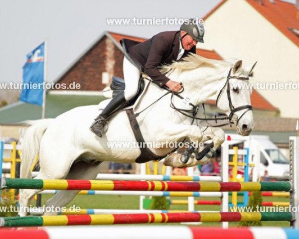 jumper Escologne (Hanoverian, 1998, from Espri)