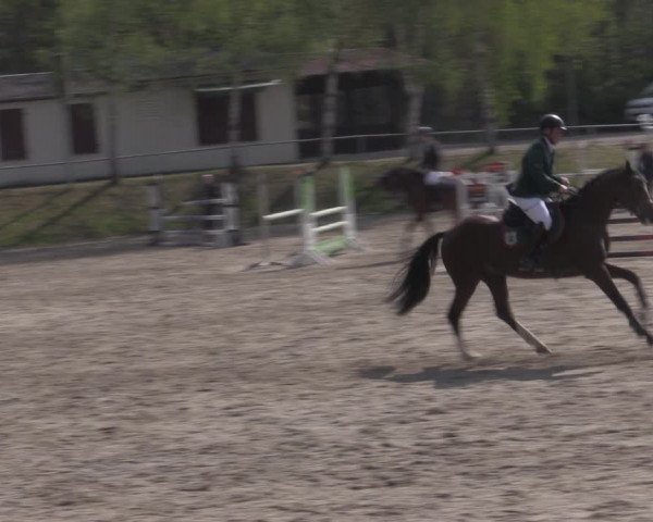 Reitturnier Lgl.-Oberhain, B95 2022