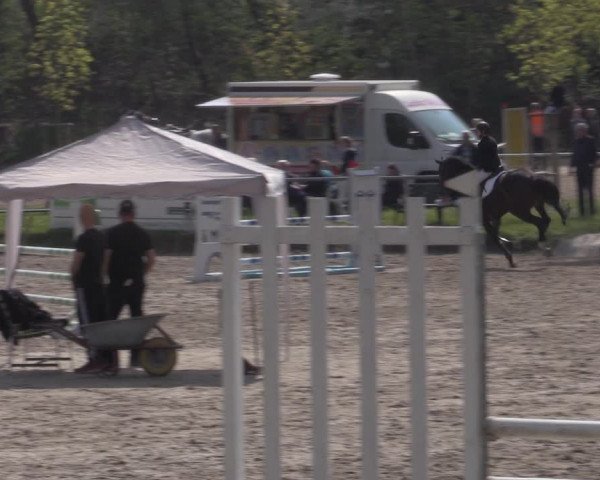 Reitturnier Lgl.-Oberhain, B95 2022