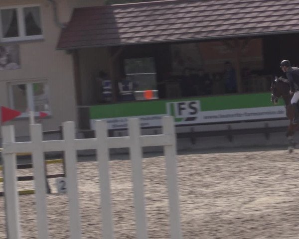 Reitturnier Lgl.-Oberhain, B95 2022