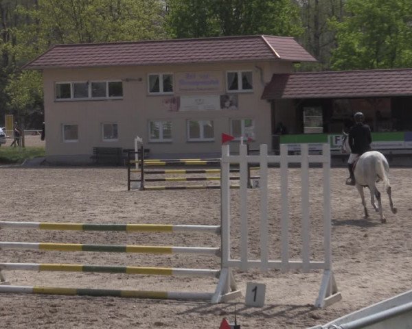 Reitturnier Lgl.-Oberhain, B95 2022