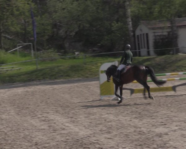 Reitturnier Lgl.-Oberhain, B95 2022