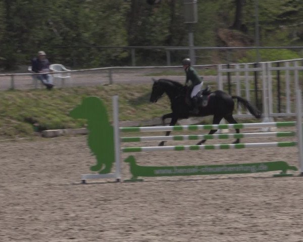 Reitturnier Lgl.-Oberhain, B95 2022