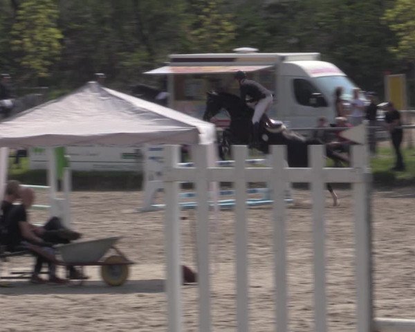 Reitturnier Lgl.-Oberhain, B95 2022