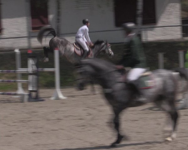 Reitturnier Lgl.-Oberhain, B95 2022