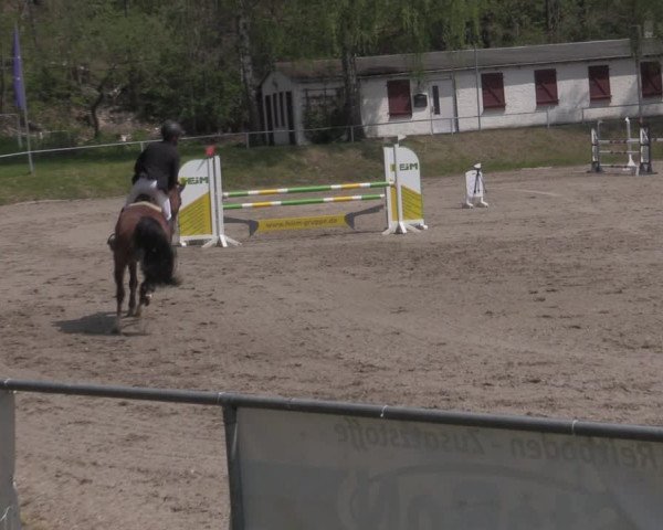 Reitturnier Lgl.-Oberhain, B95 2022