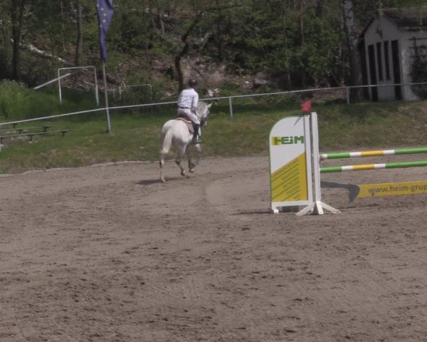 Reitturnier Lgl.-Oberhain, B95 2022