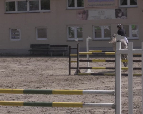 Reitturnier Lgl.-Oberhain, B95 2022