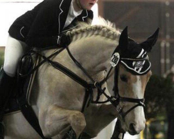 jumper Gänseblümchen F (German Riding Pony, 2002, from Golden Game Boy)