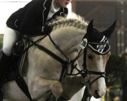 jumper Gänseblümchen F (German Riding Pony, 2002, from Golden Game Boy)