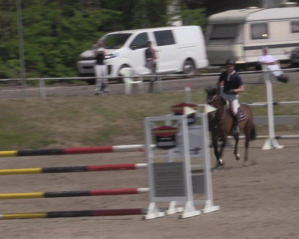 Reitturnier Lgl.-Oberhain, B95 2022