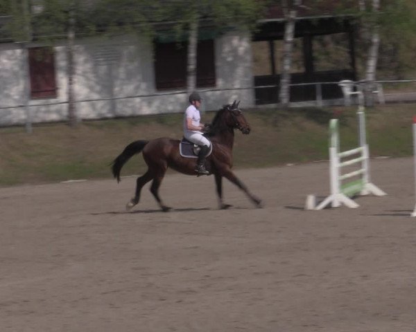 Reitturnier Lgl.-Oberhain, B95 2022