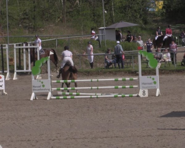 Reitturnier Lgl.-Oberhain, B95 2022