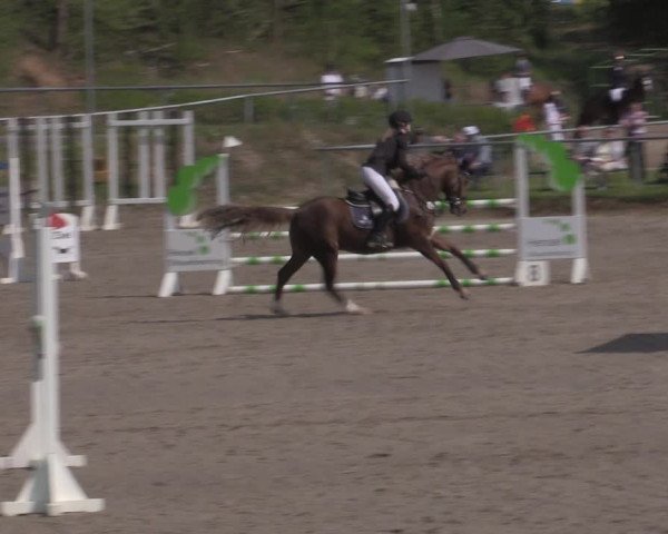Reitturnier Lgl.-Oberhain, B95 2022