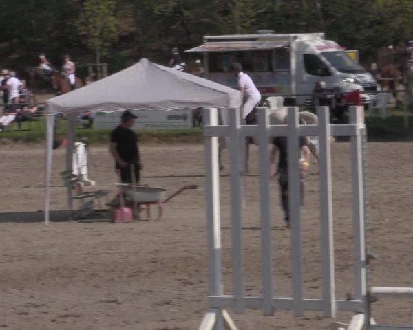 Reitturnier Lgl.-Oberhain, B95 2022