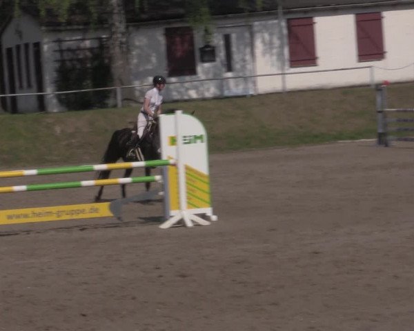 Reitturnier Lgl.-Oberhain, B95 2022