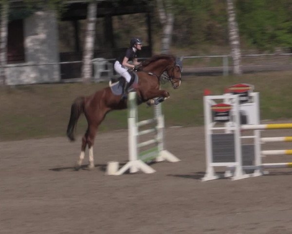 Reitturnier Lgl.-Oberhain, B95 2022