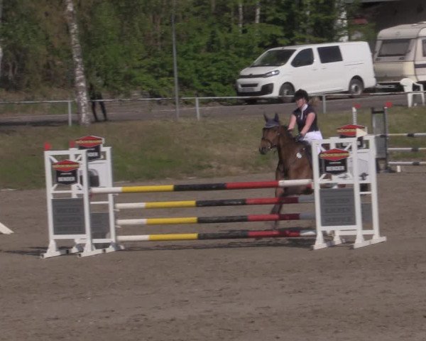 Reitturnier Lgl.-Oberhain, B95 2022