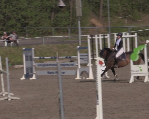 Reitturnier Lgl.-Oberhain, B95 2022