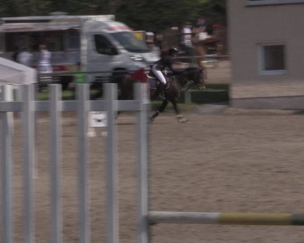 Reitturnier Lgl.-Oberhain, B95 2022