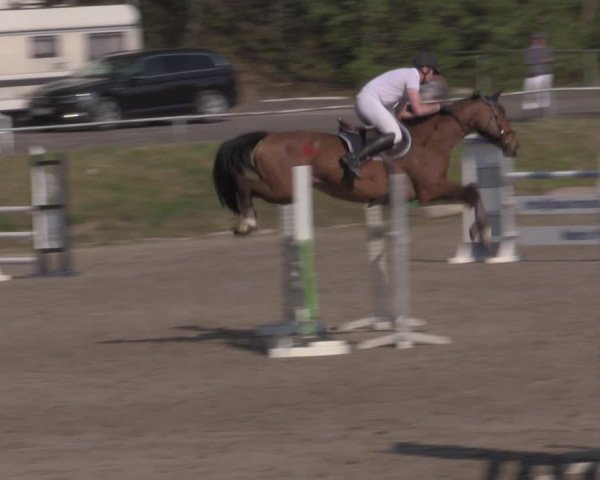 Reitturnier Lgl.-Oberhain, B95 2022