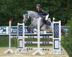 broodmare Oxalis (Bavarian, 2007, from Clinton H)