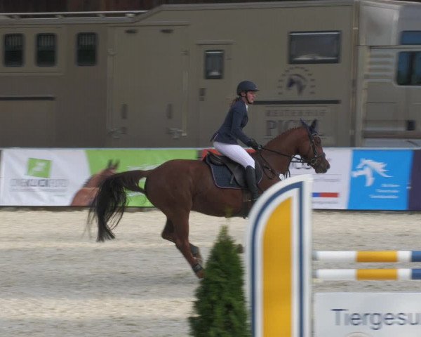 Reitturnier Karlsfeld 2022