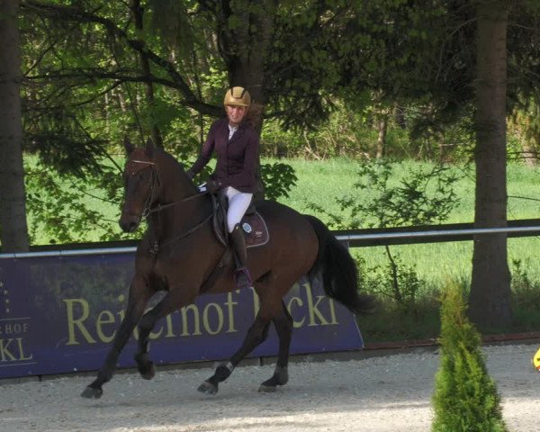 Reitturnier Karlsfeld 2022