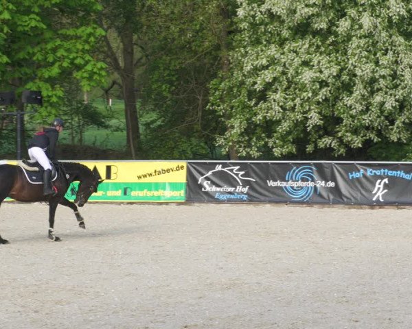 Reitturnier Karlsfeld 2022