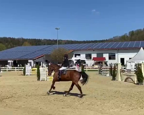Video of Cool and Easy