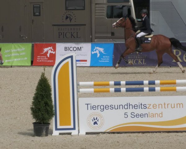 Reitturnier Karlsfeld 2022