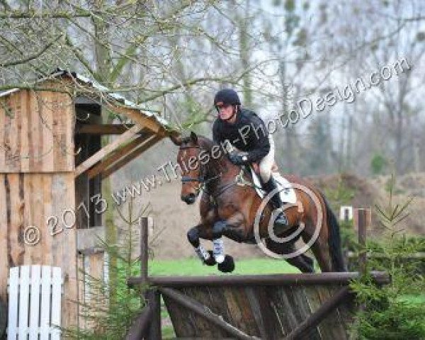 jumper Trick or Treat 2 (Irish Sport Horse, 2006, from Try-Time)