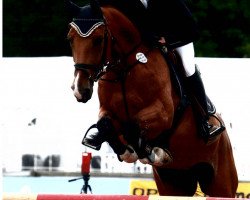 broodmare Chalou WV (Rhinelander, 2004, from Cabaretto)