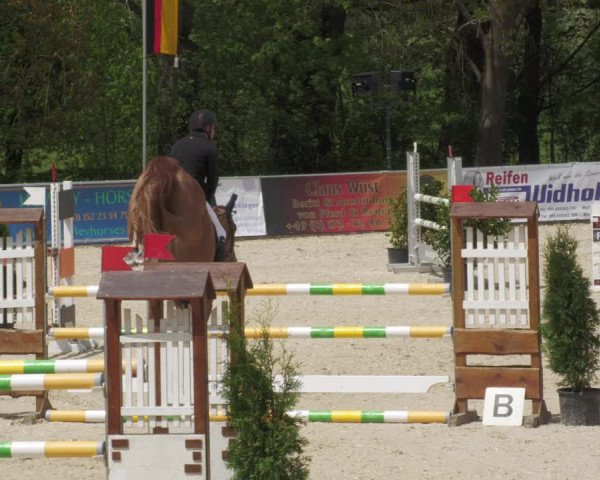 Reitturnier Karlsfeld 2022