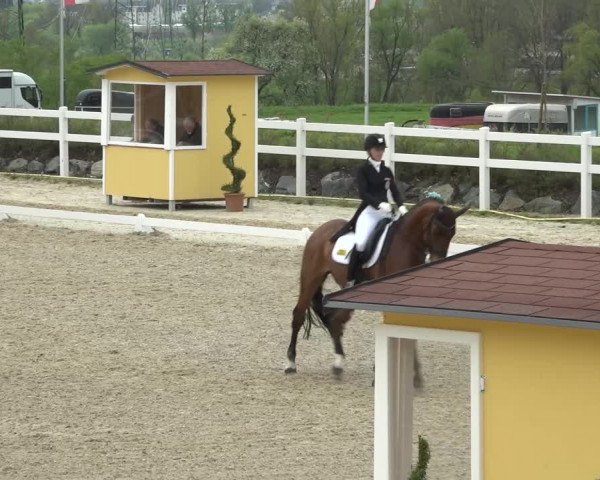 Reitturnier K, St. Margarethen-Stückler 2022