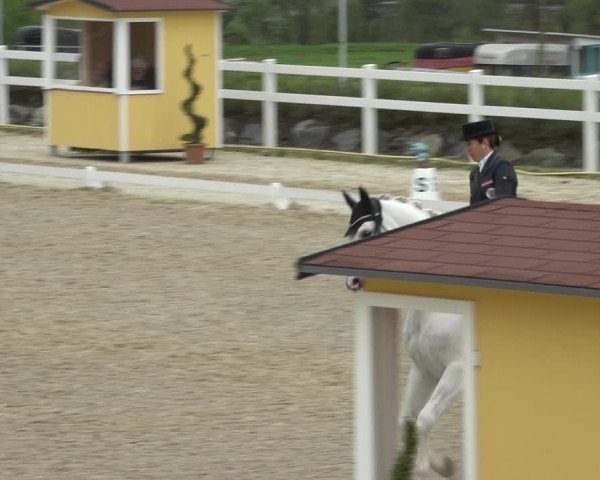 Reitturnier K, St. Margarethen-Stückler 2022