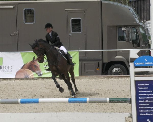 Reitturnier Karlsfeld 2022