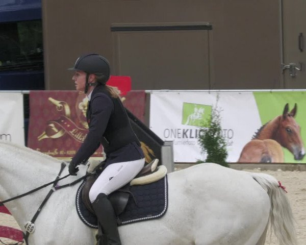 Reitturnier Karlsfeld 2022
