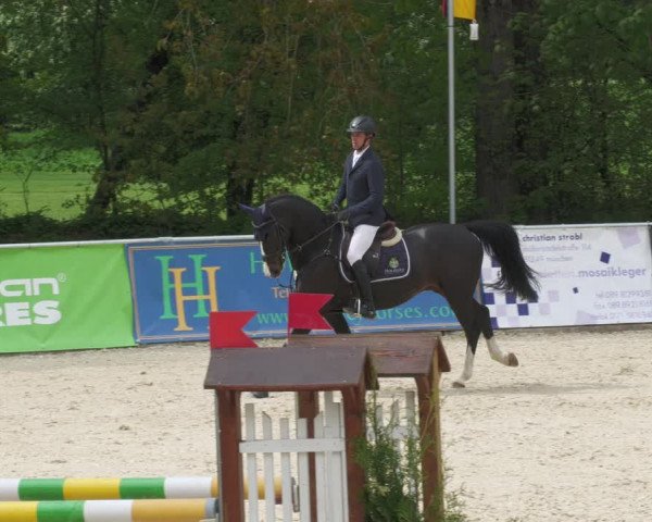 Reitturnier Karlsfeld 2022