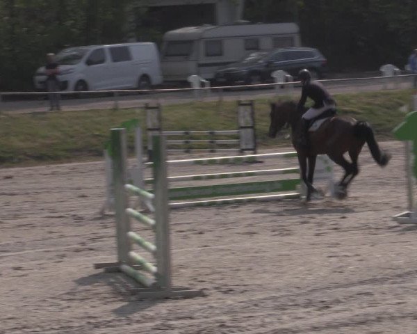 Reitturnier Lgl.-Oberhain, B95 2022