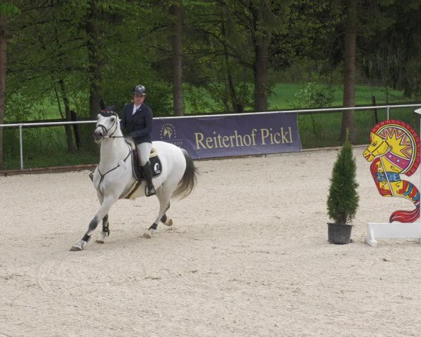 Reitturnier Karlsfeld 2022