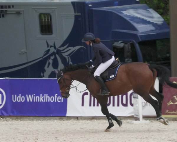 Reitturnier Karlsfeld 2022