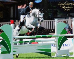 jumper Calimero 617 (Hanoverian, 2010, from Calido I)