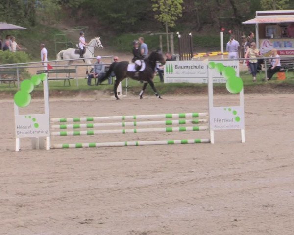 Reitturnier Lgl.-Oberhain, B95 2022