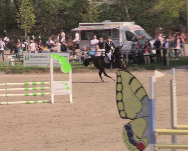 Reitturnier Lgl.-Oberhain, B95 2022