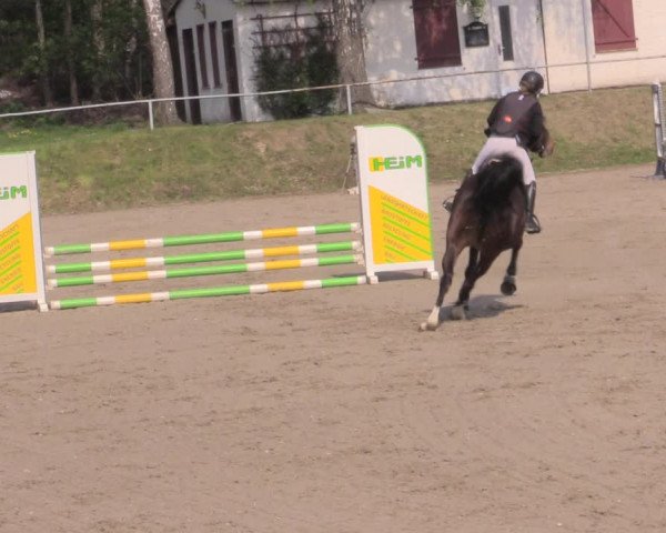 Reitturnier Lgl.-Oberhain, B95 2022
