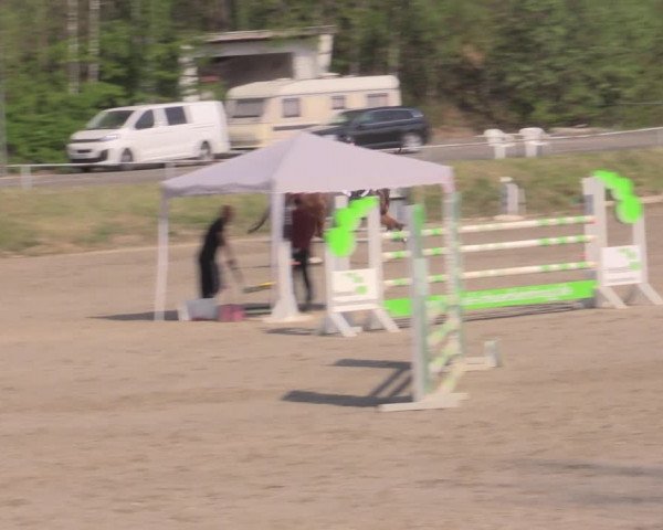 Reitturnier Lgl.-Oberhain, B95 2022