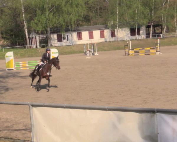 Reitturnier Lgl.-Oberhain, B95 2022