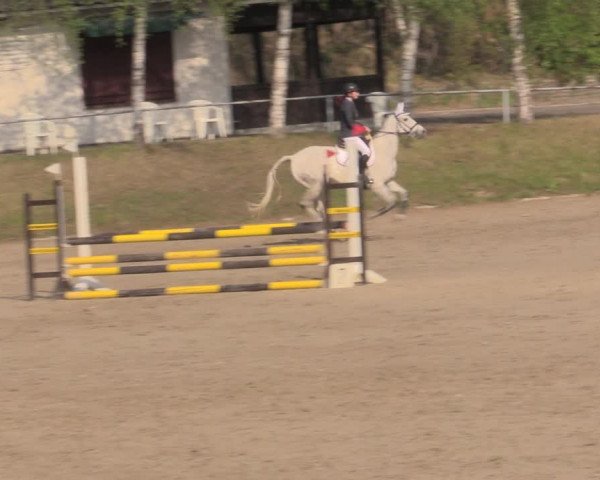 Reitturnier Lgl.-Oberhain, B95 2022