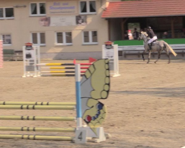 Reitturnier Lgl.-Oberhain, B95 2022